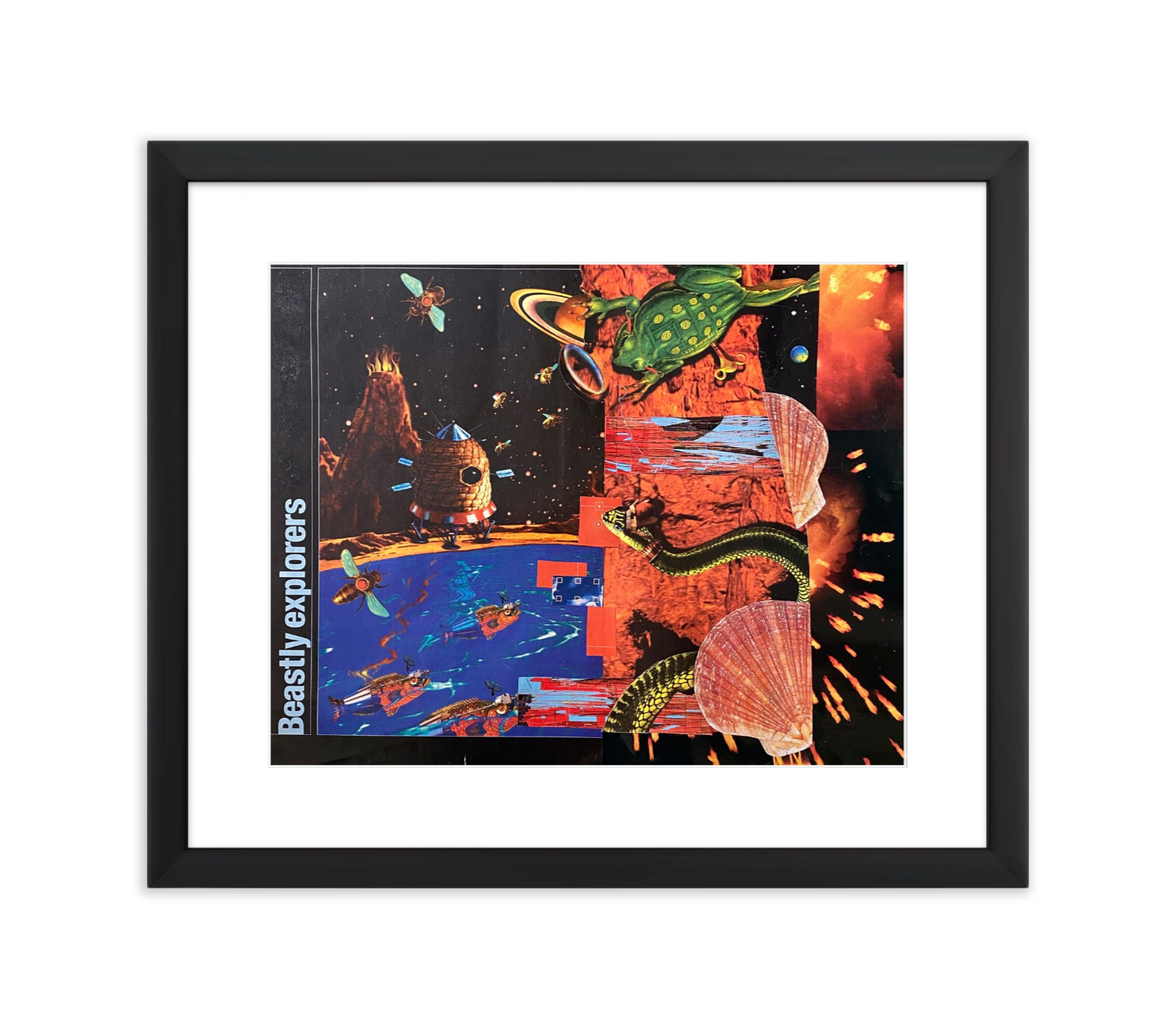 Beastly Explorers - Jela Prančic - 5 Feb 2025