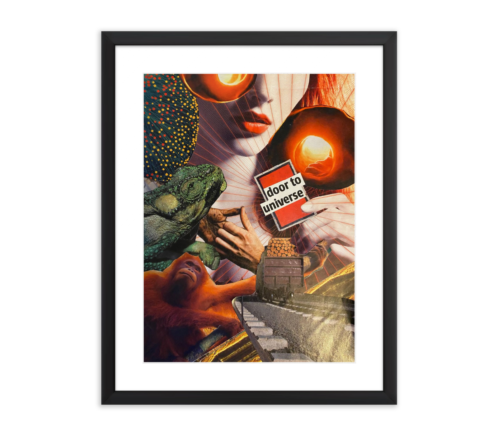 Door to the Universe - Jela Prančic - 11 Nov 2023