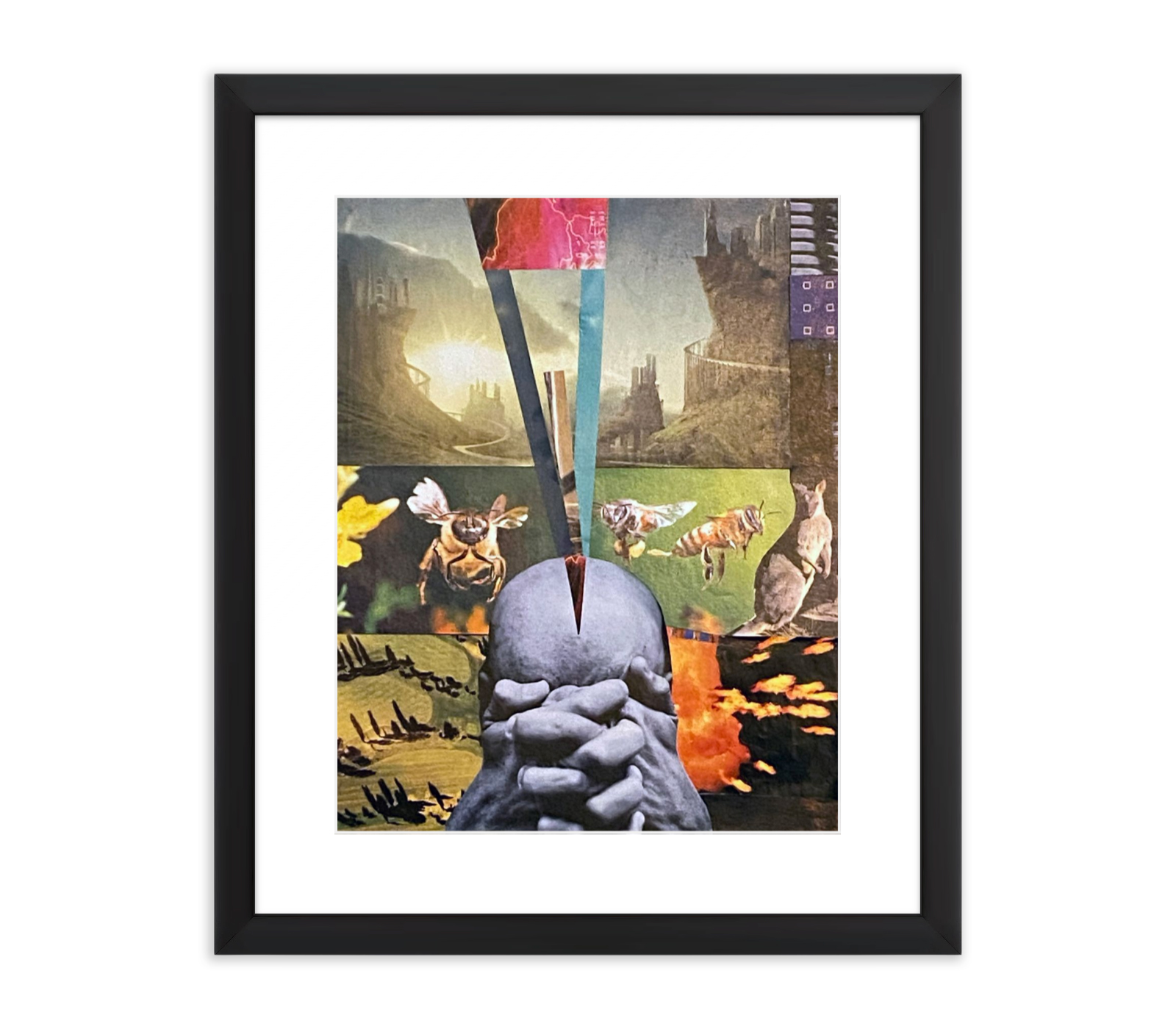 Focus - Jela Prancic - 11 Nov 2025